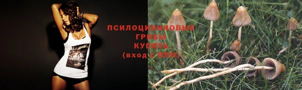 гашишное масло Алексеевка