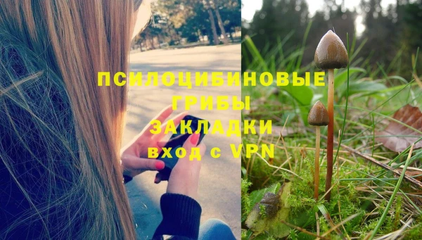 гашишное масло Алексеевка