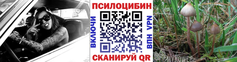 Псилоцибиновые грибы мухоморы  Ноябрьск 